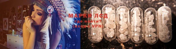 соль ск Тайга