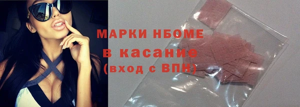 соль ск Тайга