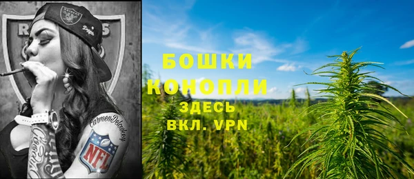 spice Балабаново