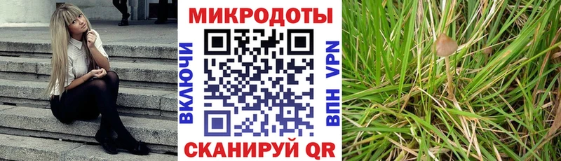 Псилоцибиновые грибы прущие грибы  даркнет телеграм  Верея  цена наркотик 